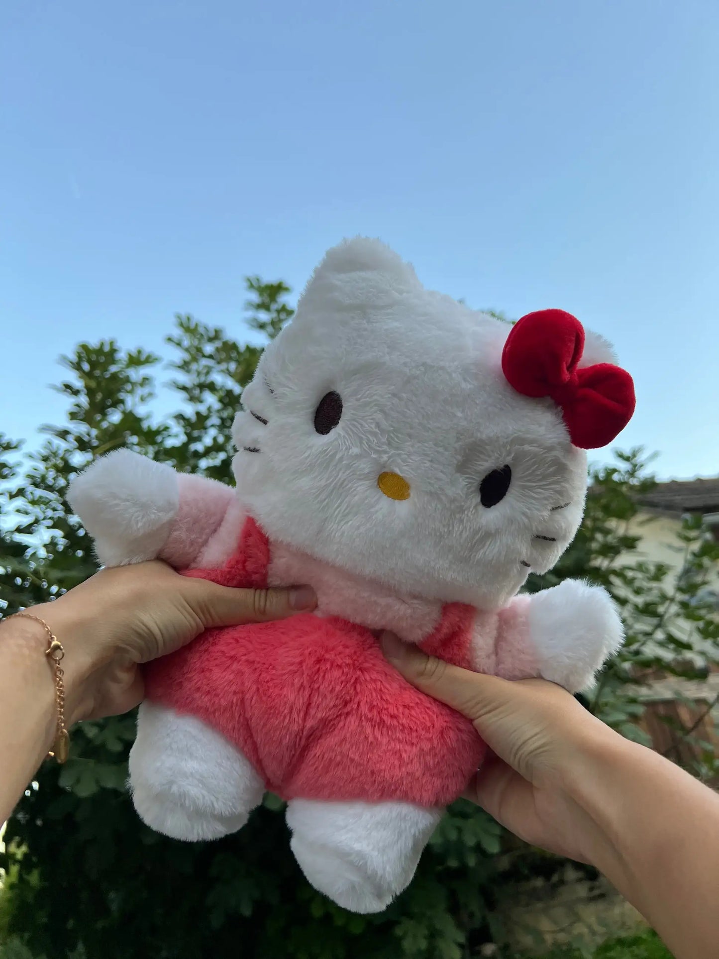 Pelúcia™ Fofinha - Hello kitty